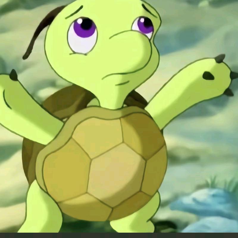 传奇龟龟皇🐢🐢🐢（双面龟找小美美）