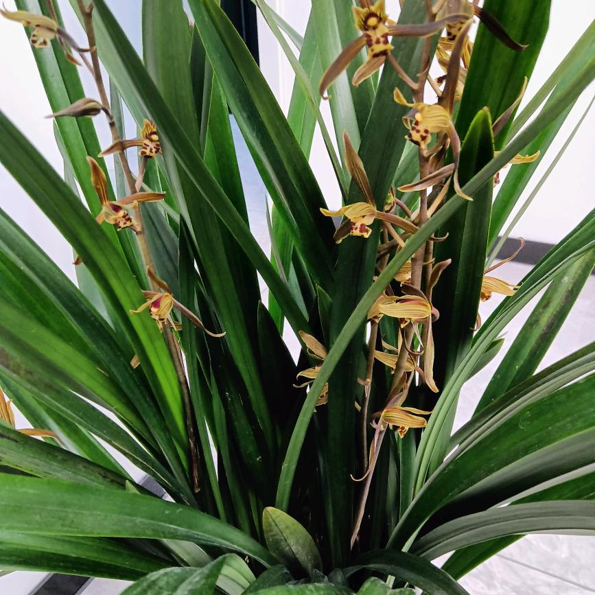 幸福一家人☺☺☺