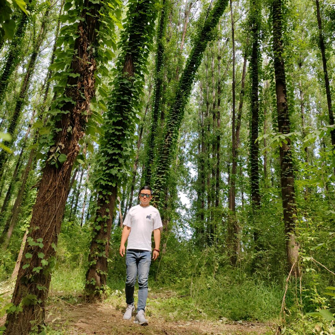 院子里的狗尾草