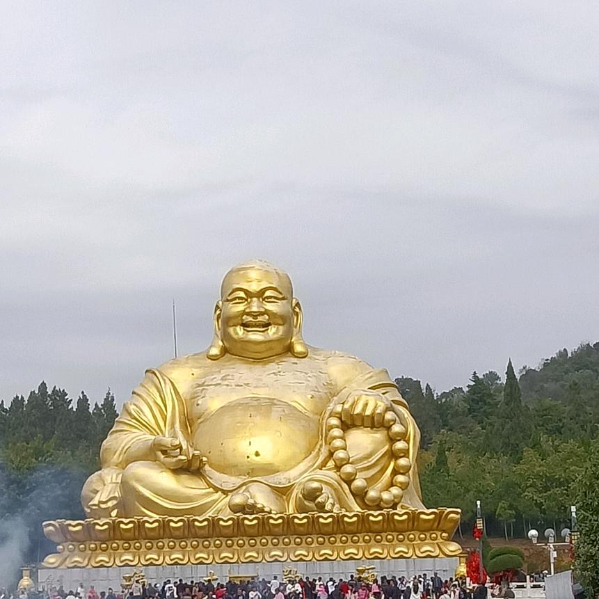 杨老兵