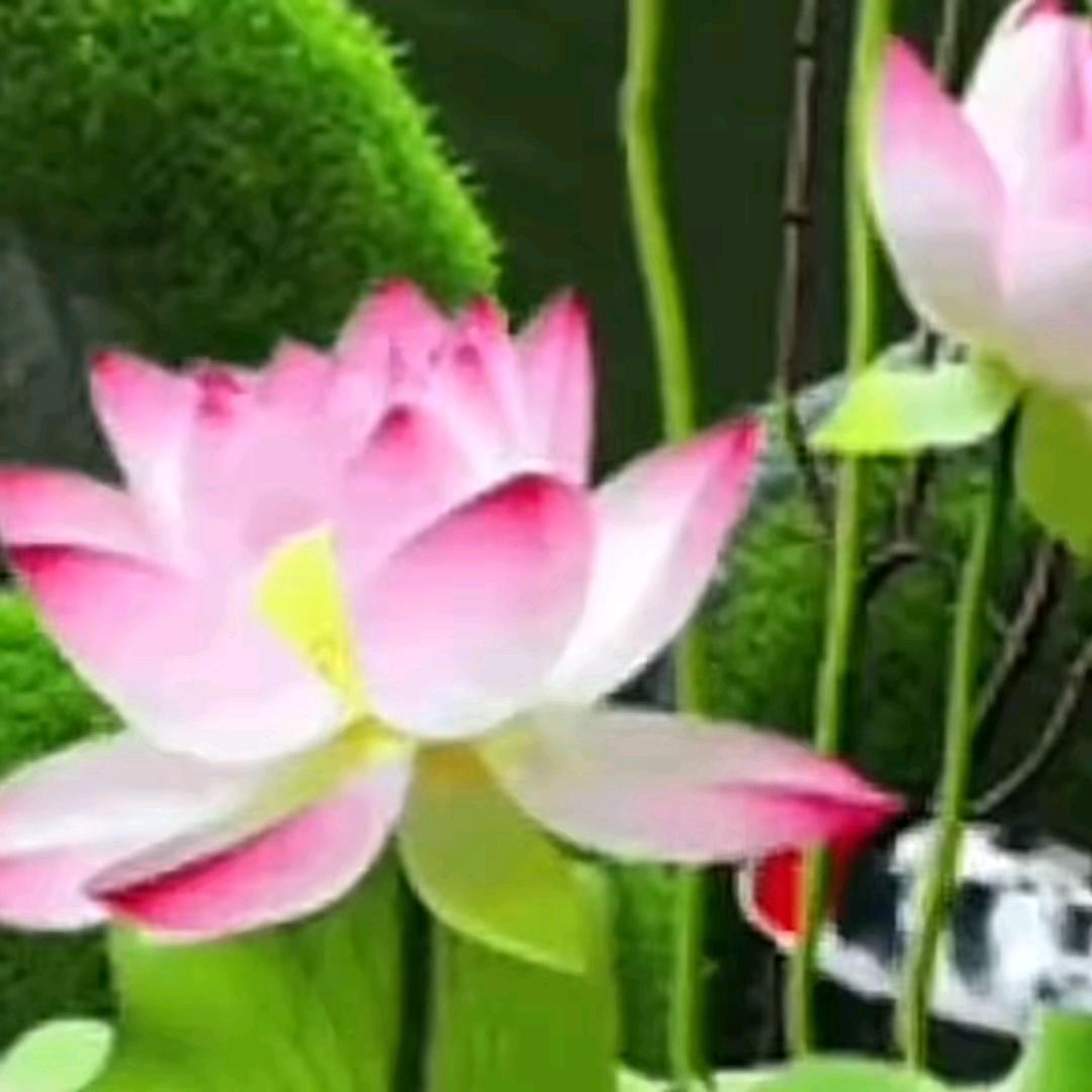 喜姐好物