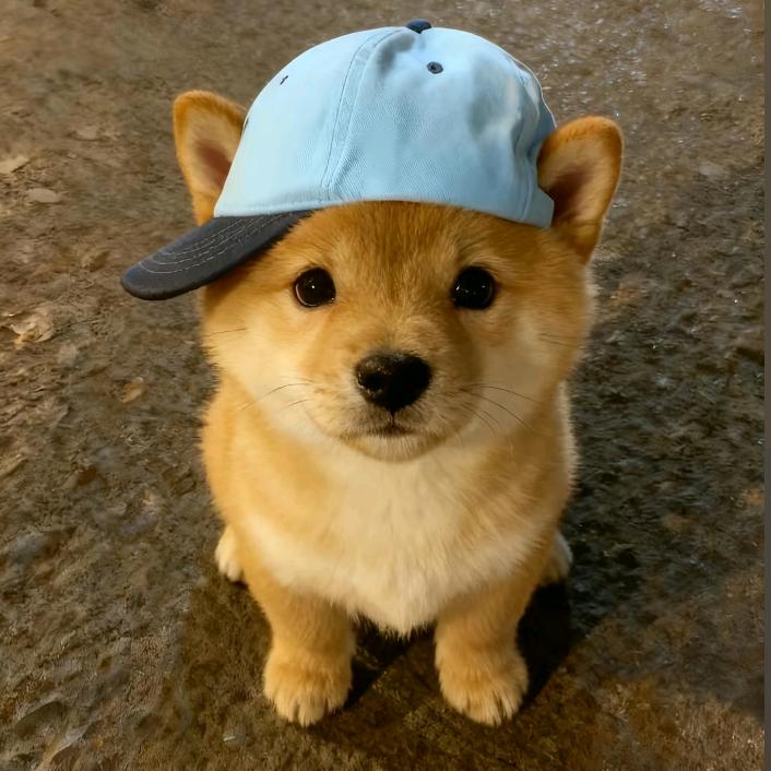 蓝一下连牙