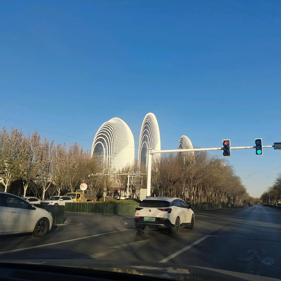 单身照样度春秋