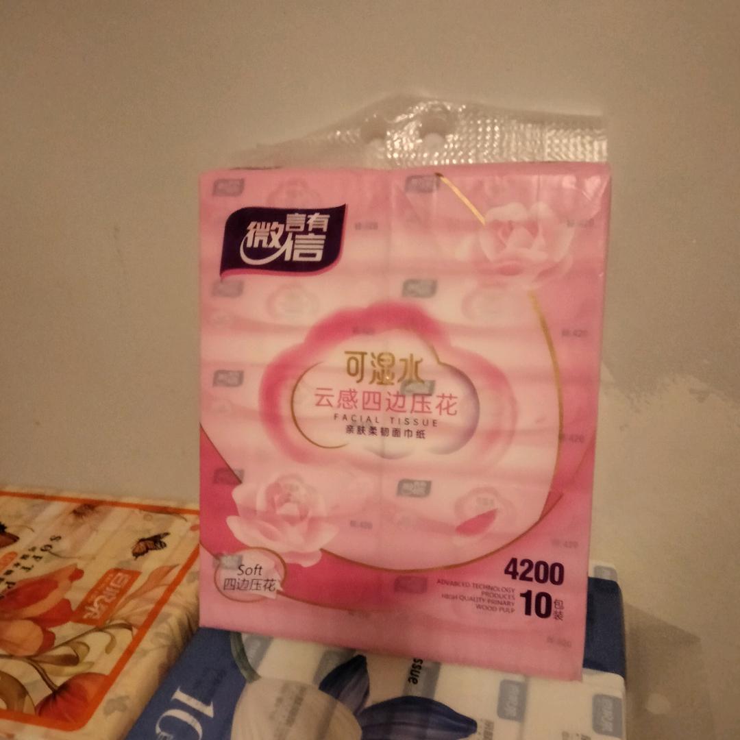 清竹优雅