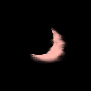 🍚🌙