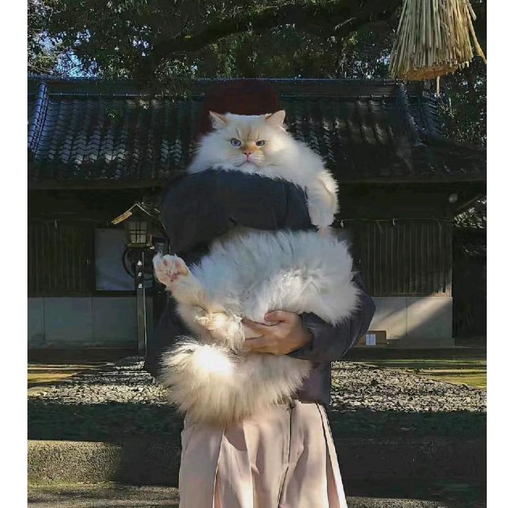 有有女装