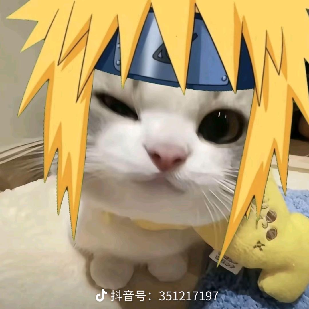 桃桃