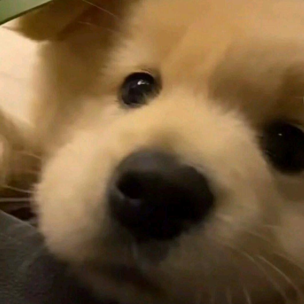 xixi