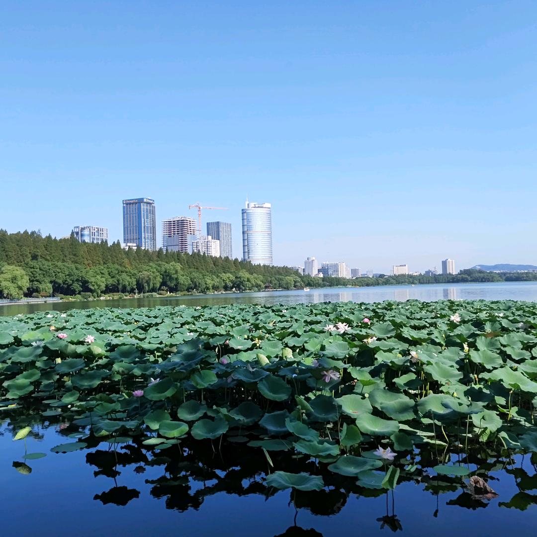 珍惜