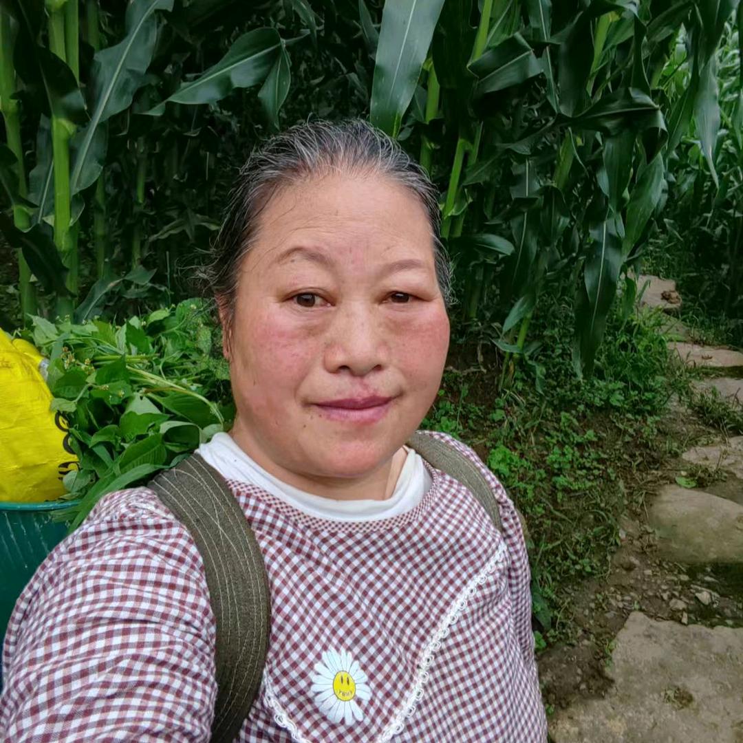 鹏鹏妈（生活号）