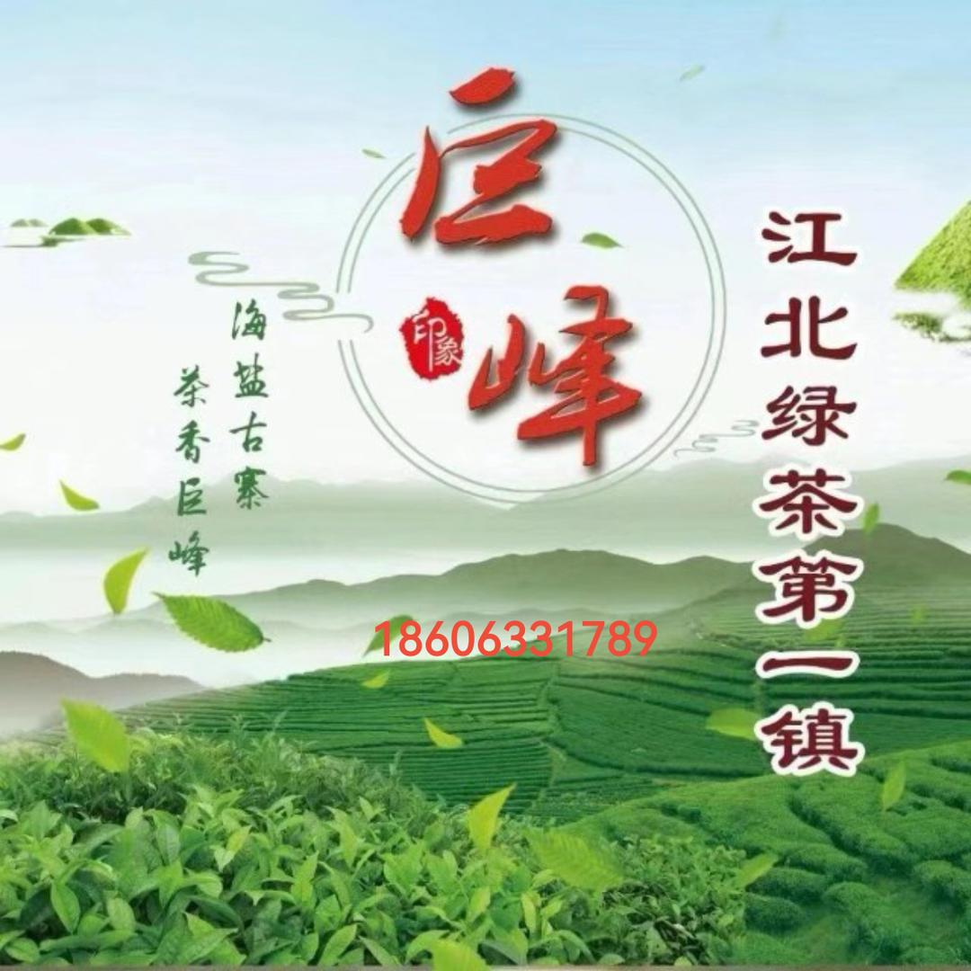 日照绿茶：韵茶坊