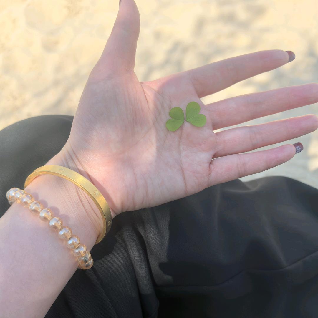 🍀四季安然💞🍀