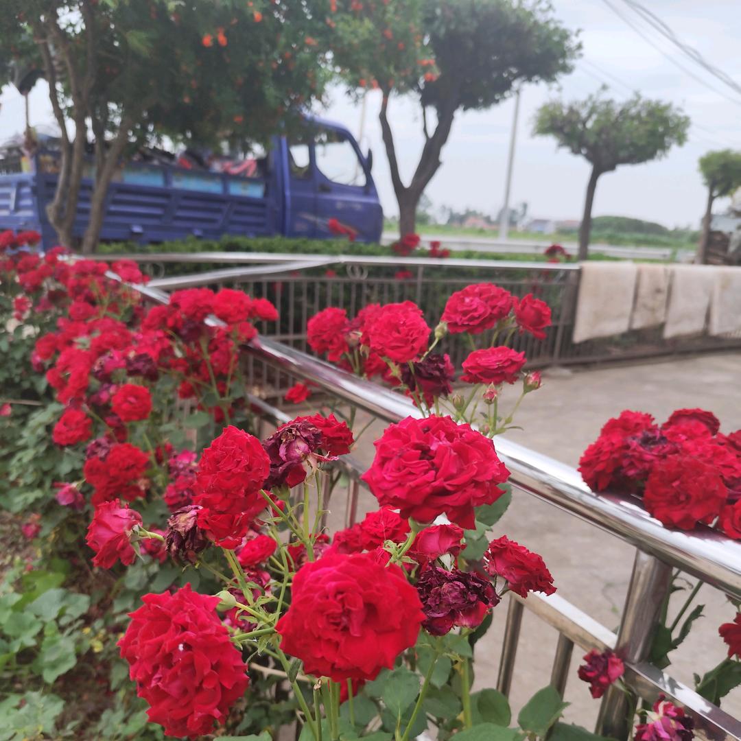 越来🍀越好✌