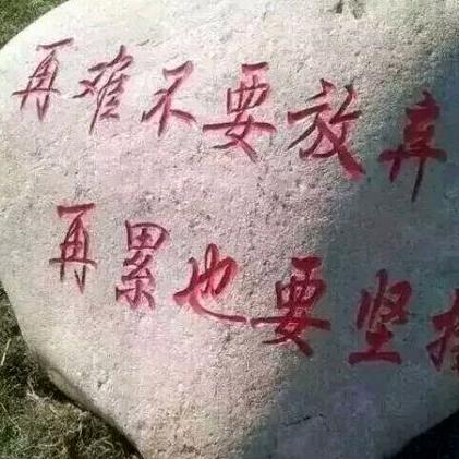 丽萍