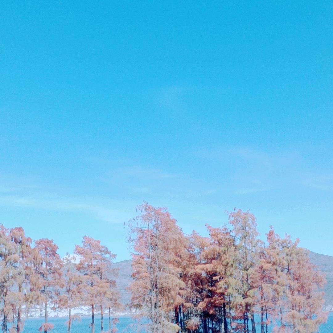 执着于思念😔😔