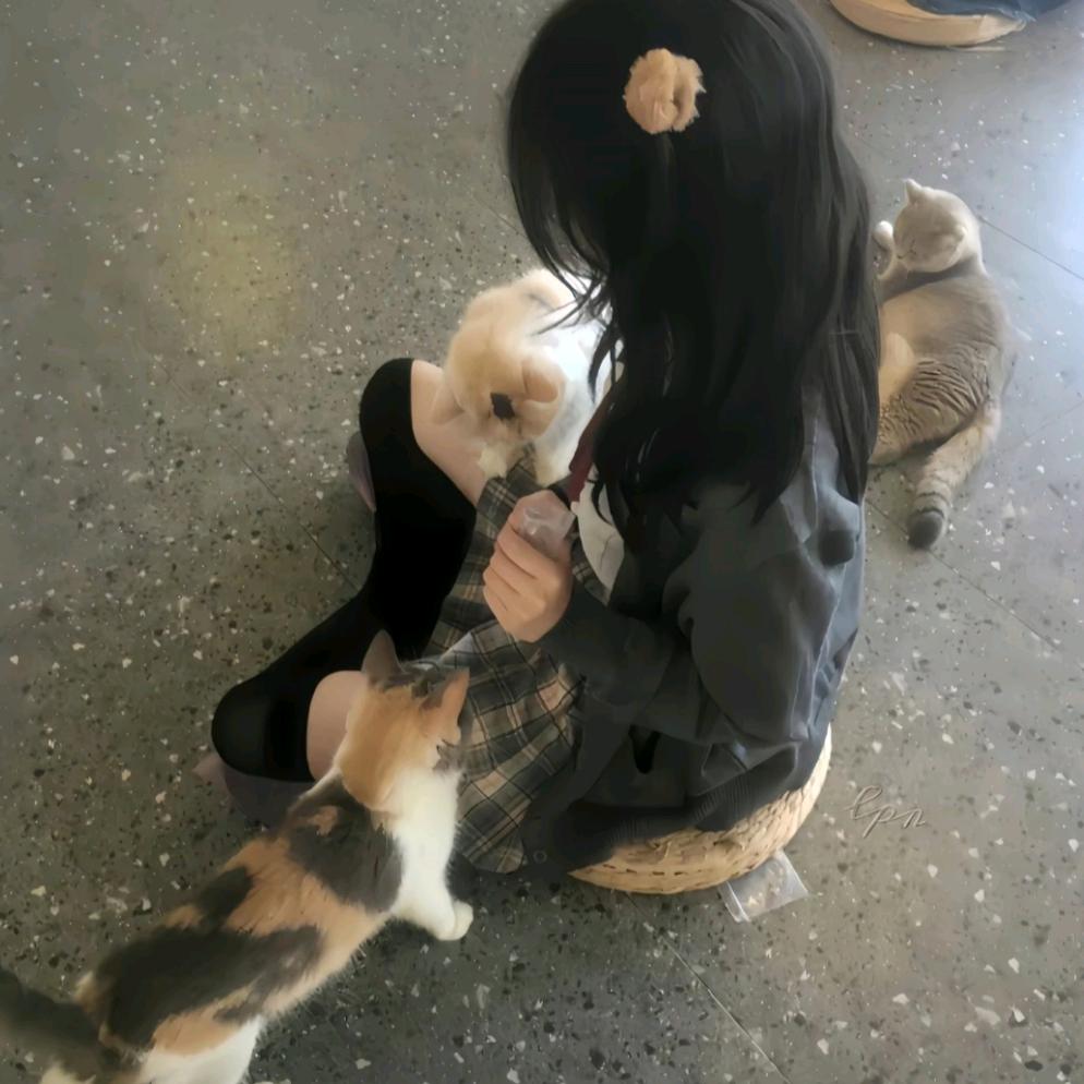小猫崽崽˘ᗜ˘