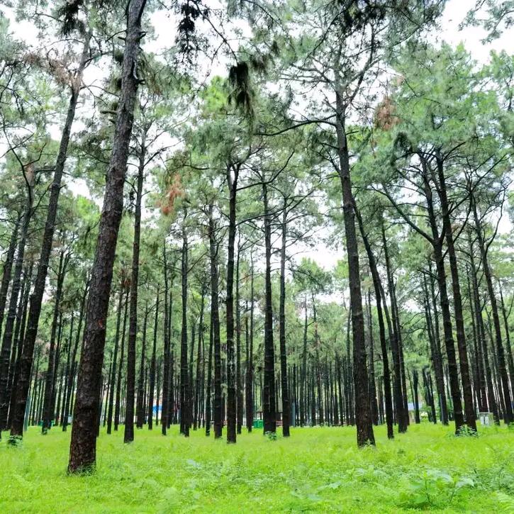 万水千山都是情