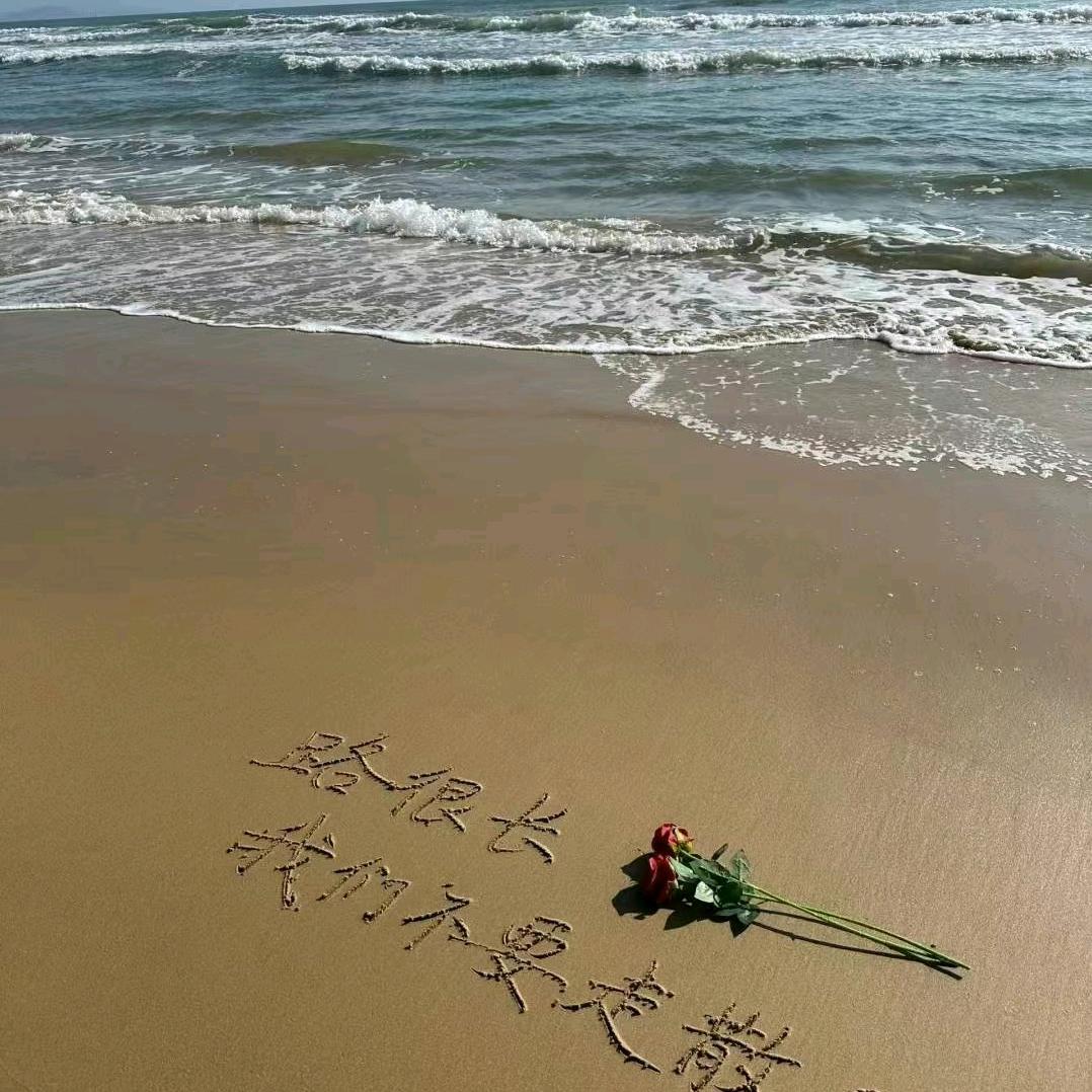 天天向上  希望明天会更好