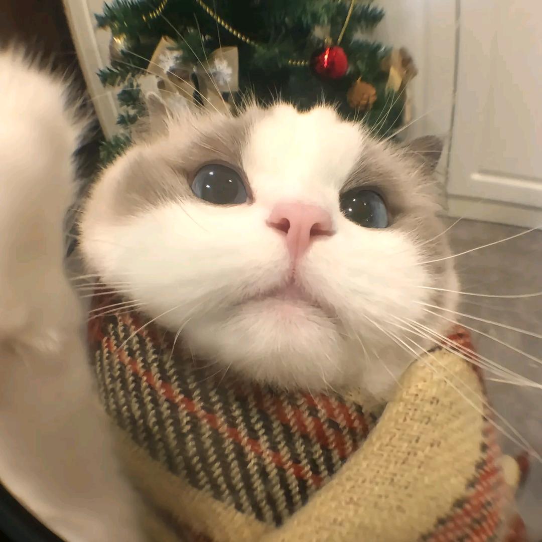 小亦