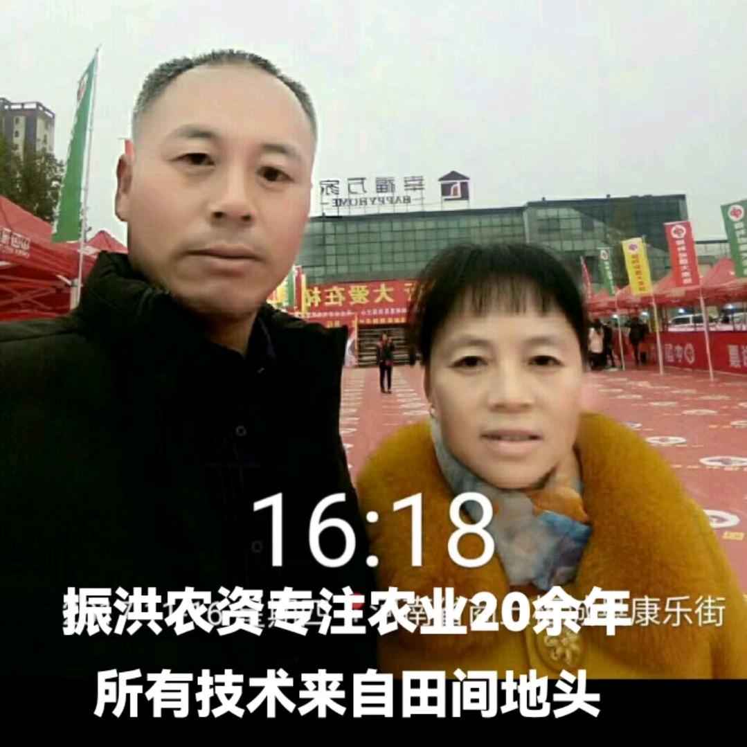 振洪农资
