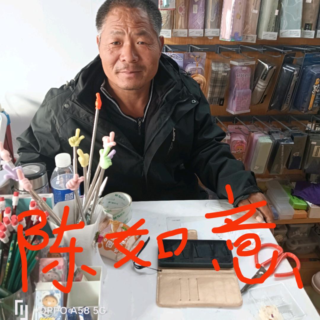 陈如意