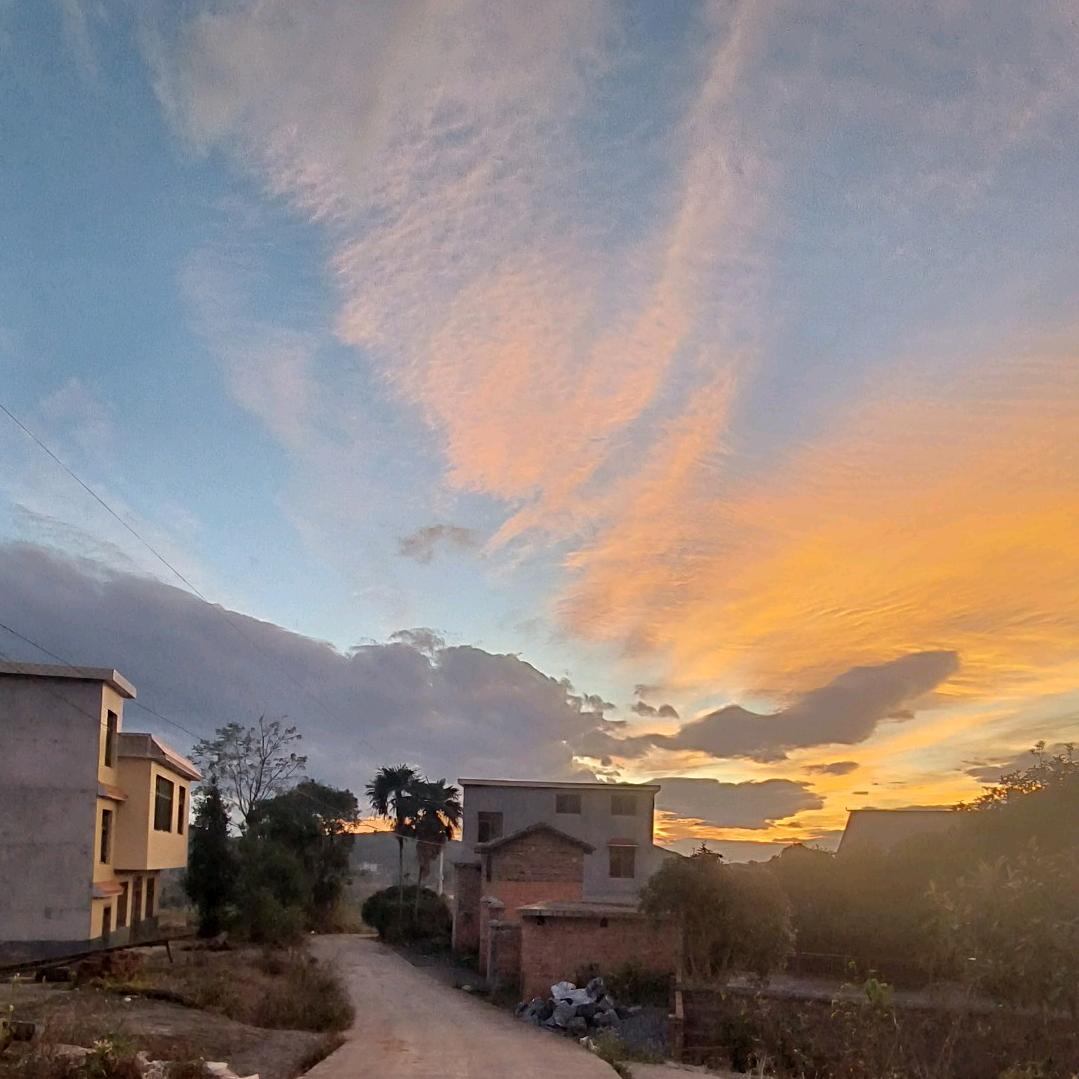 ╭(╯ε╰)╮美媚