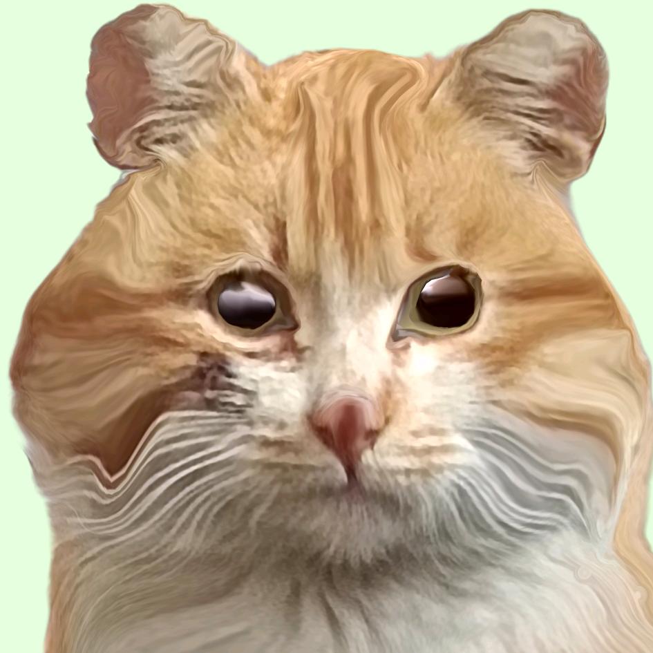 不老松