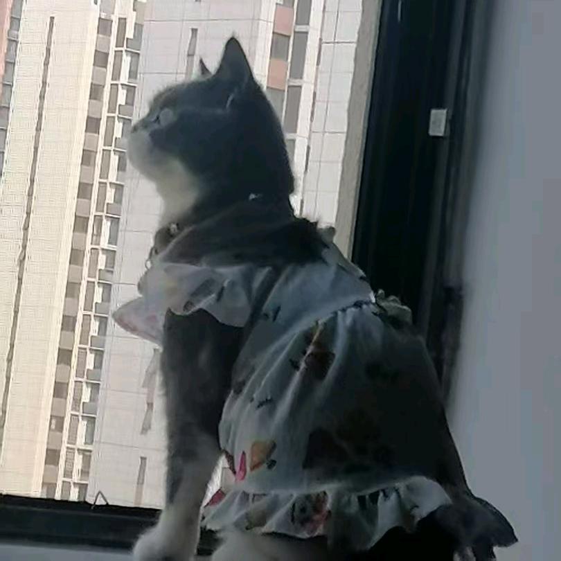 静臭宝😝😝