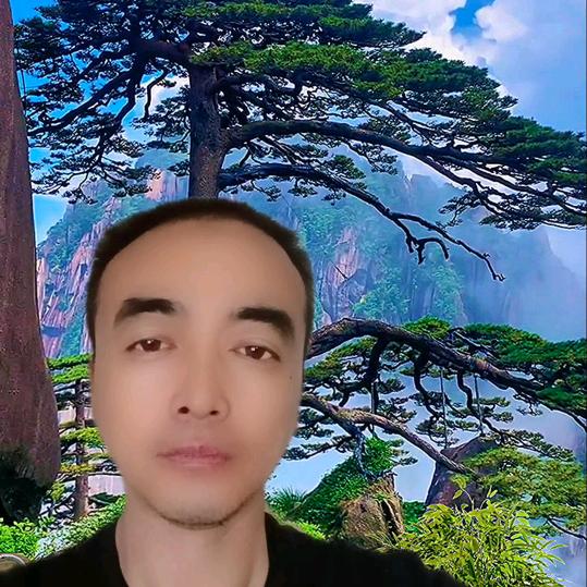 盤龍松哥（家庭住宅调理）