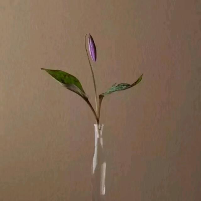 丶﹏依旧执著ミ↘。