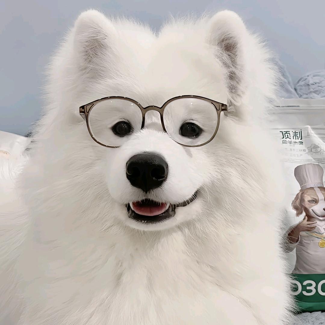 至绪