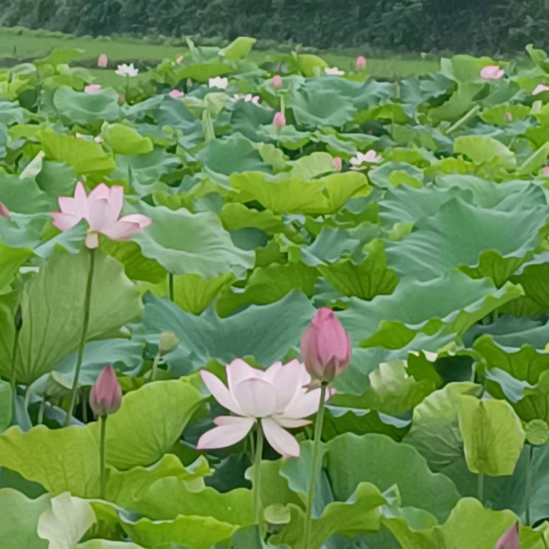 努力创造美好生活