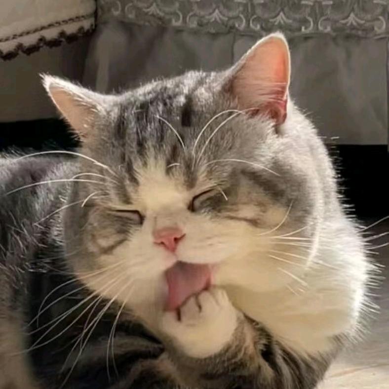 失眠的人不说晚安❤️