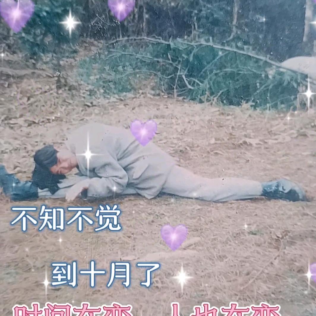 无语无悔