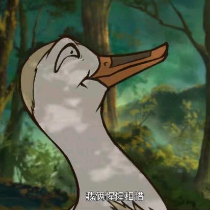 鲍比