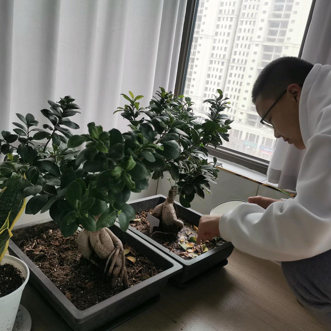 用户4772515535293