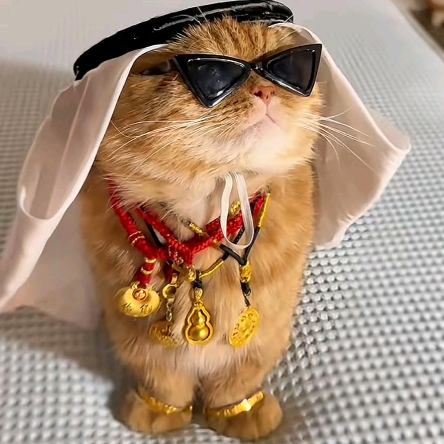 🔥缘哥🔥🍎(封票)