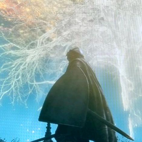 十里八村第一帅