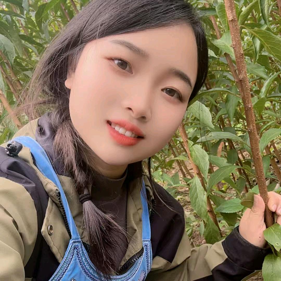 蜂糖李之乡六马妹子（小ᝰ点点）