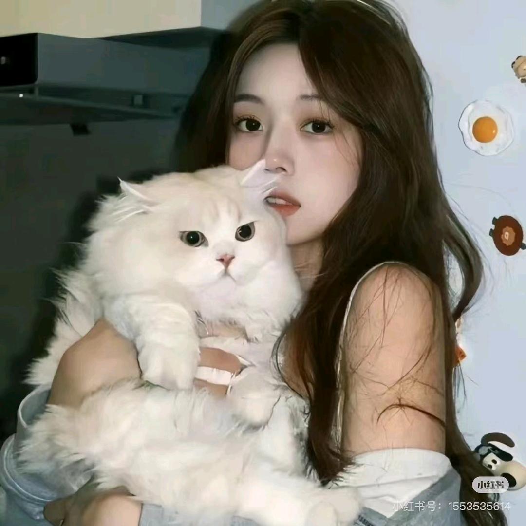 一个冰块