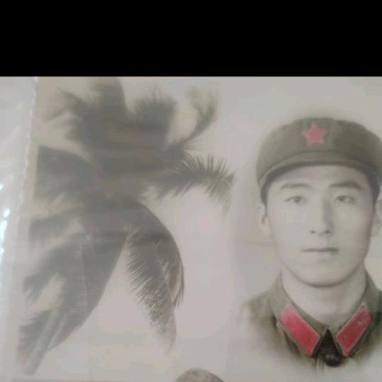 王元庆