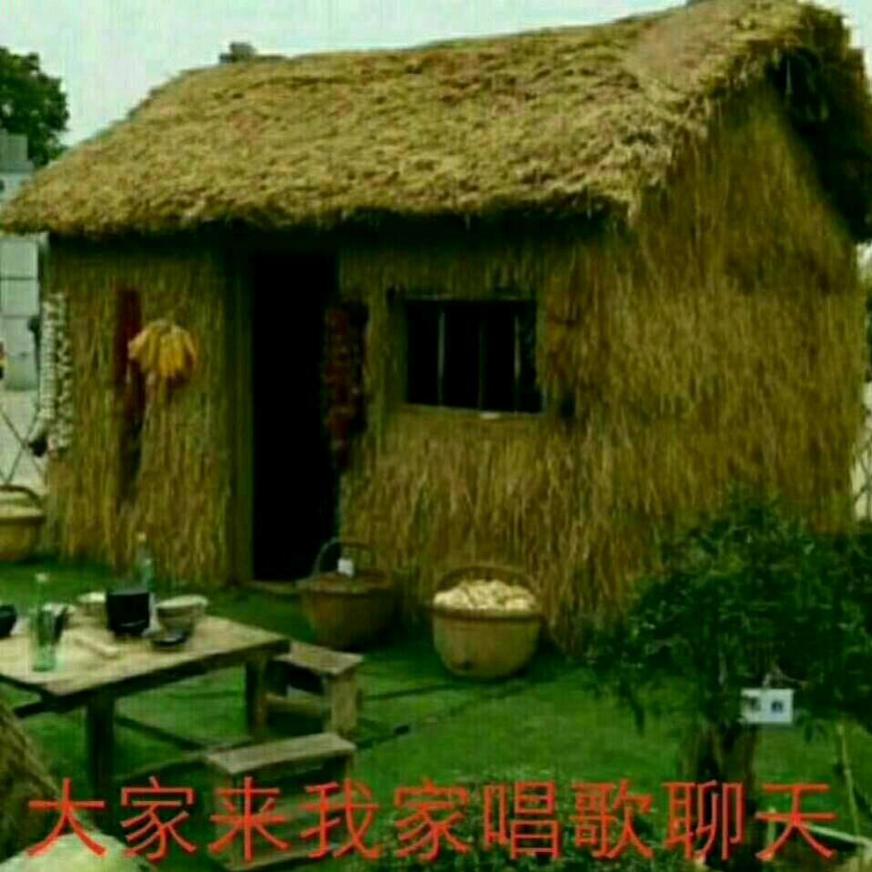 日久见人心