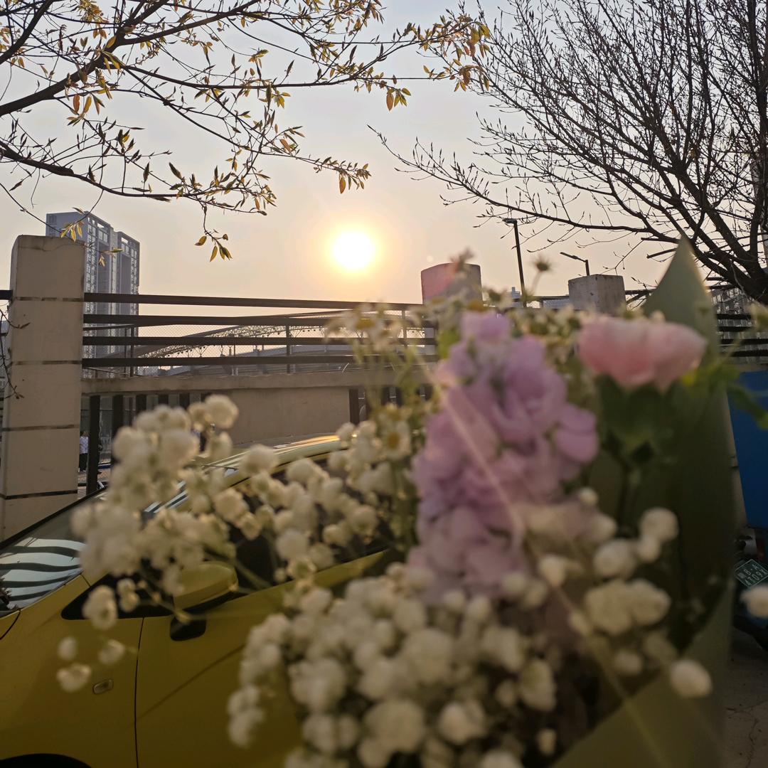 调皮