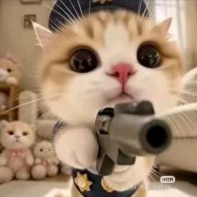 丸子不吃大虾🦐