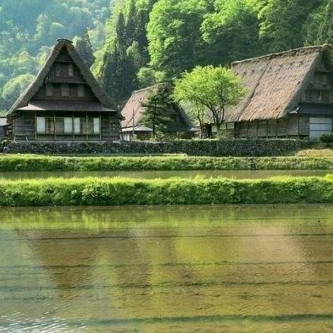 馮華橐