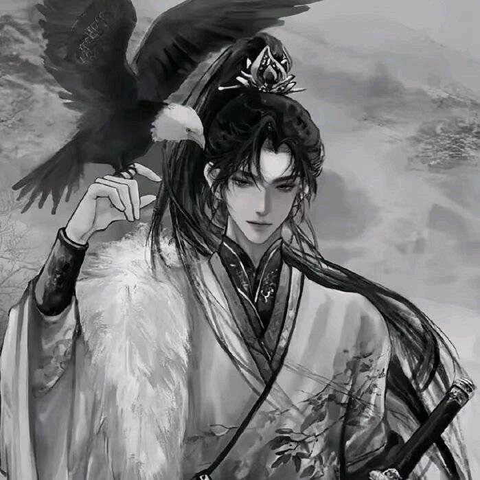 奔千里的毛孩子