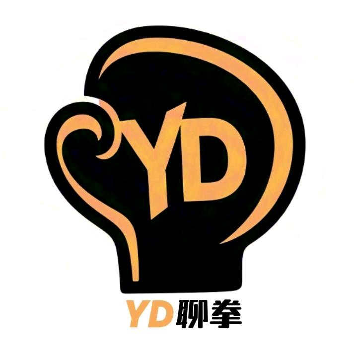 YD聊拳