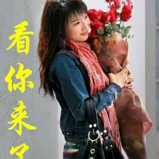 姐的心你不懂