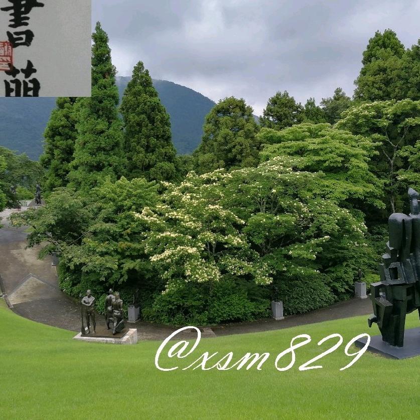 @xsm8297-