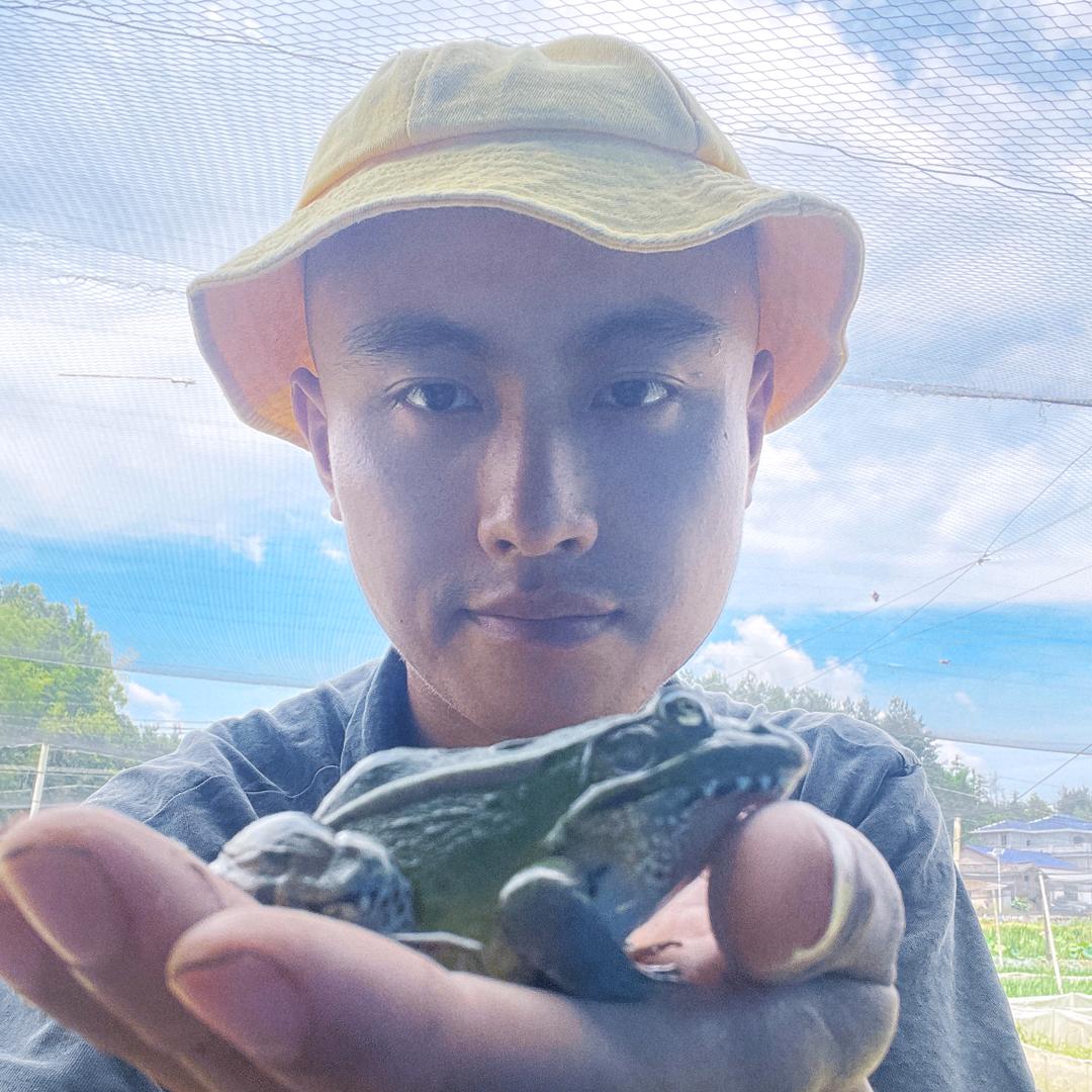 诺维奇与青蛙